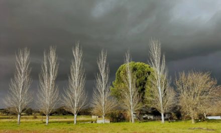 Las mejores imágenes del 2025