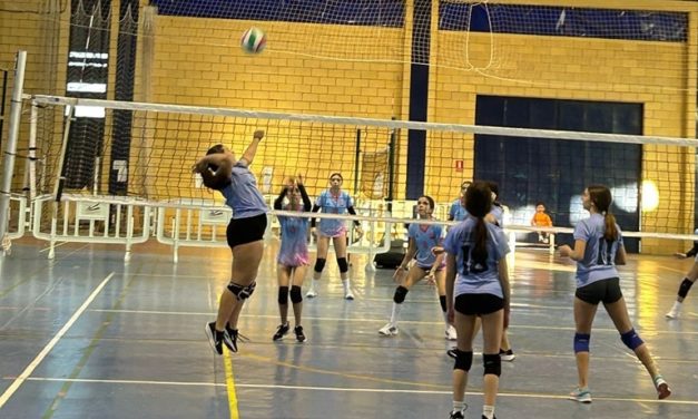 Últimos partidos oficiales de la temporada del Voley pringón