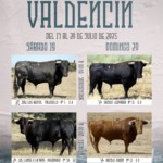 Programa de fiestas Valdencin 2025