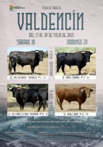 Programa de fiestas Valdencin 2025