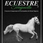 ECUESTRE TORREJONCILLO 2025