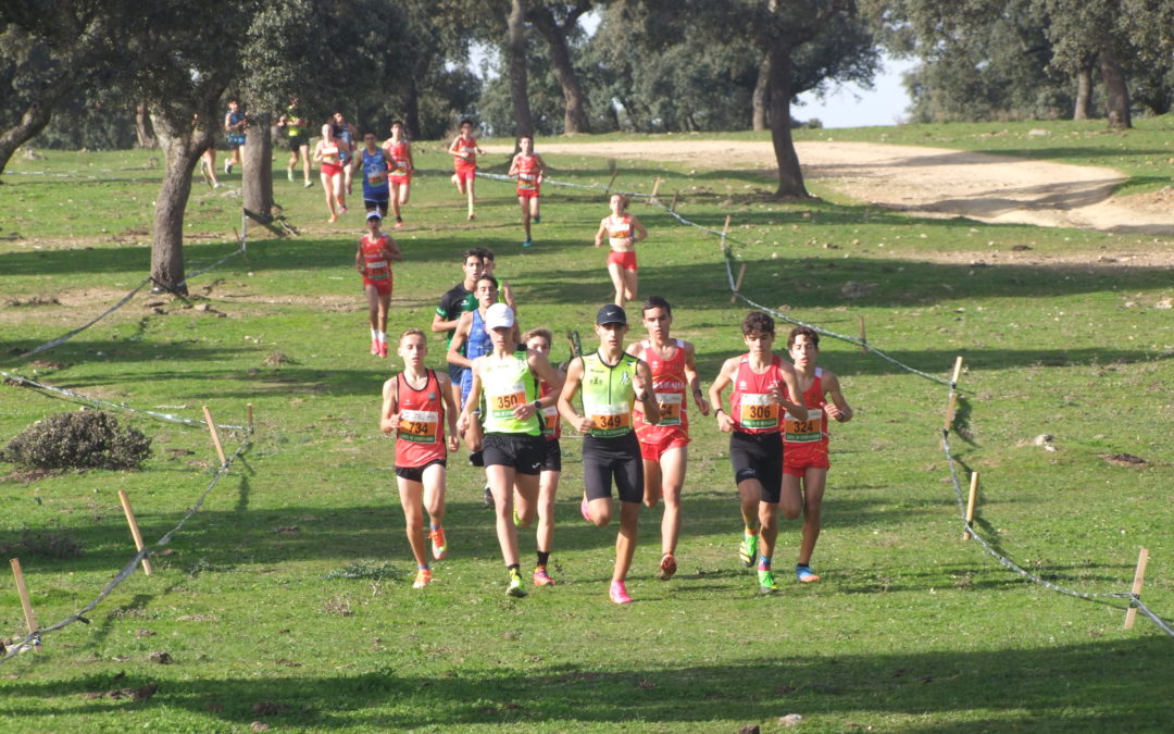 Varios podiums de los torrejoncillanos en la XLV Cross de la Encamisa y en la Media Maratón de Jarandilla de la Vera (Contiene Galería)