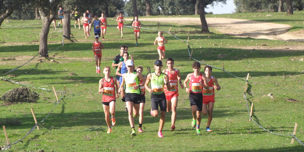 Varios podiums de los torrejoncillanos en la XLV Cross de la Encamisa y en la Media Maratón de Jarandilla de la Vera (Contiene Galería)