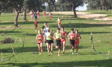 Varios podiums de los torrejoncillanos en la XLV Cross de la Encamisa y en la Media Maratón de Jarandilla de la Vera (Contiene Galería)