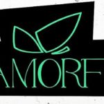 Metamorfosis premio En Salsa Mejor Apertura 2025