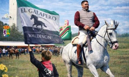 Programa Romería de Valdencin 2026