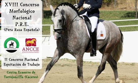 Los días 13, 14 y 15 de septiembre estamos de feria