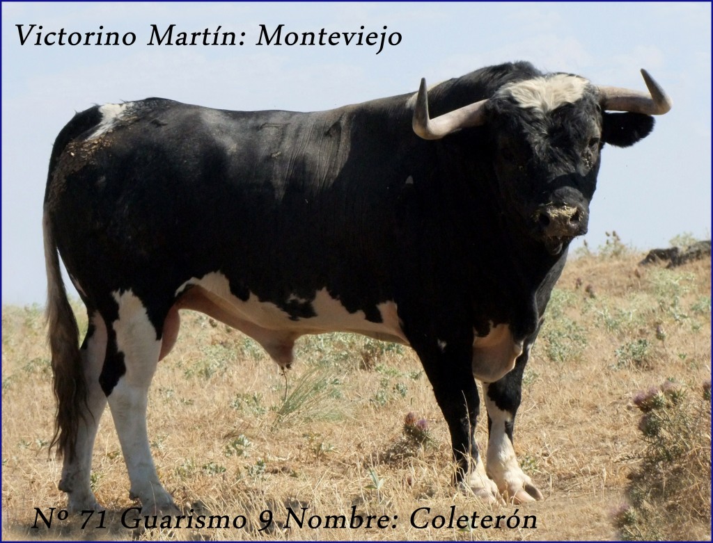 71 G9 COLETERON VICTORINO MARTIN MONTEVIEJO