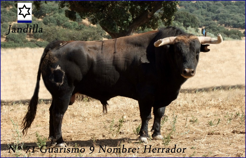 71 G9 HERRADOR JANDILLA