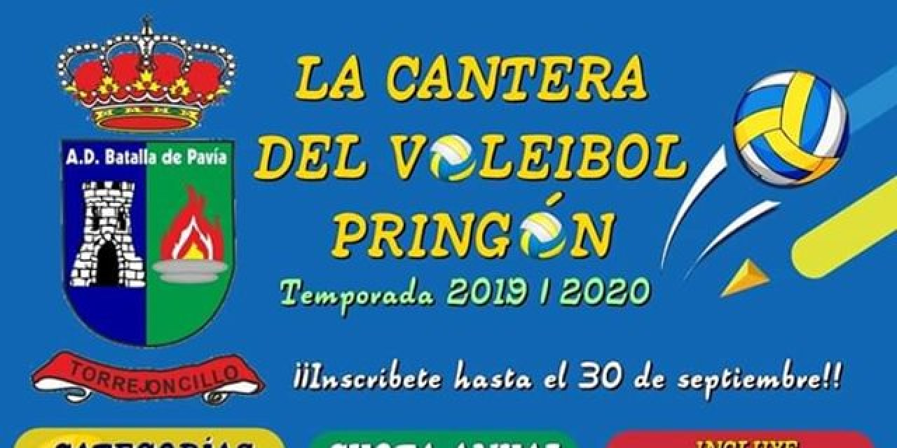 La cantera del Voleibol Pringón