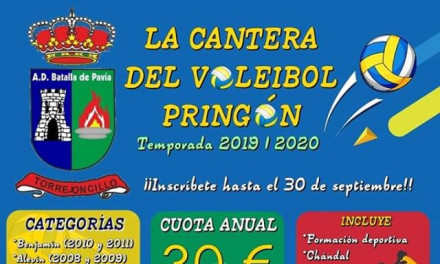 La cantera del Voleibol Pringón