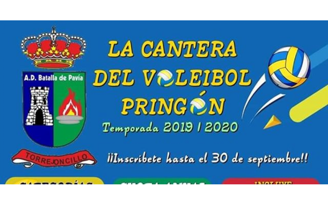 La cantera del Voleibol Pringón