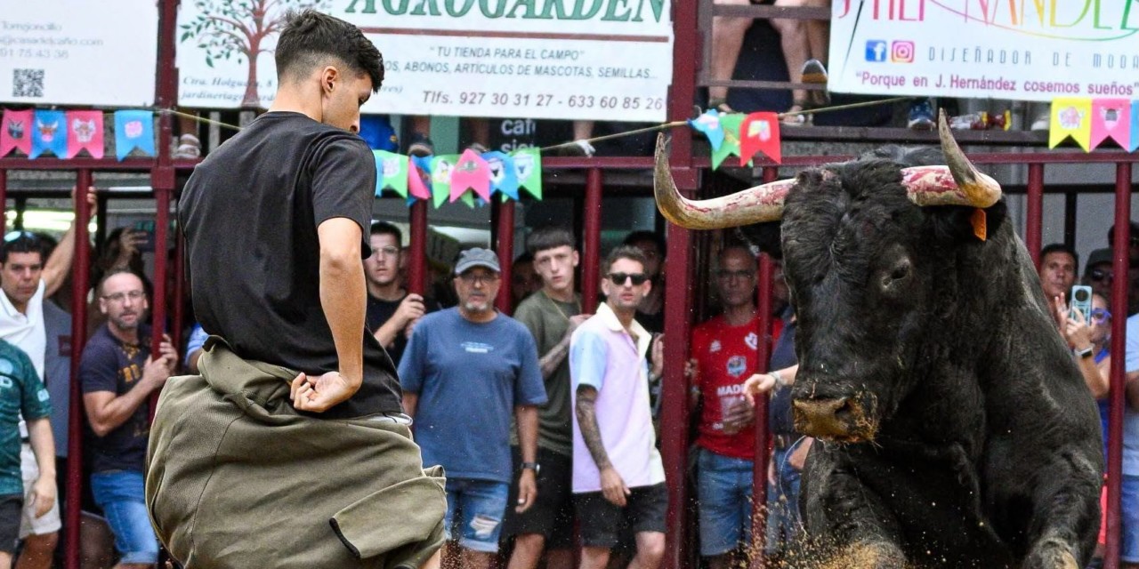 Ganadores del concurso fotográfico «Miradas de Agosto»