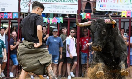 Ganadores del concurso fotográfico «Miradas de Agosto»