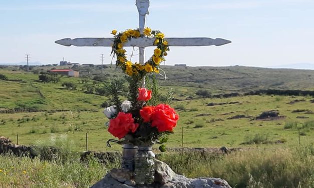 Celebración de la Cruz Bendita