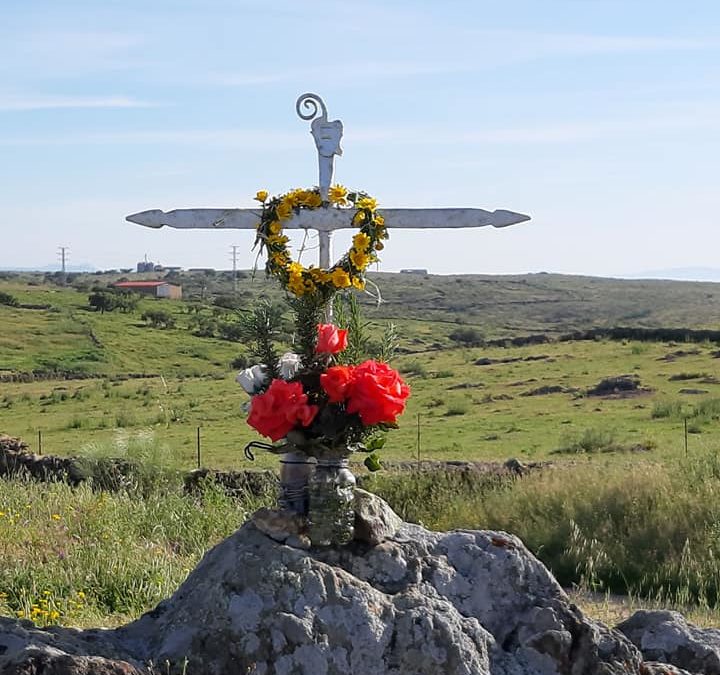 Celebración de la Cruz Bendita
