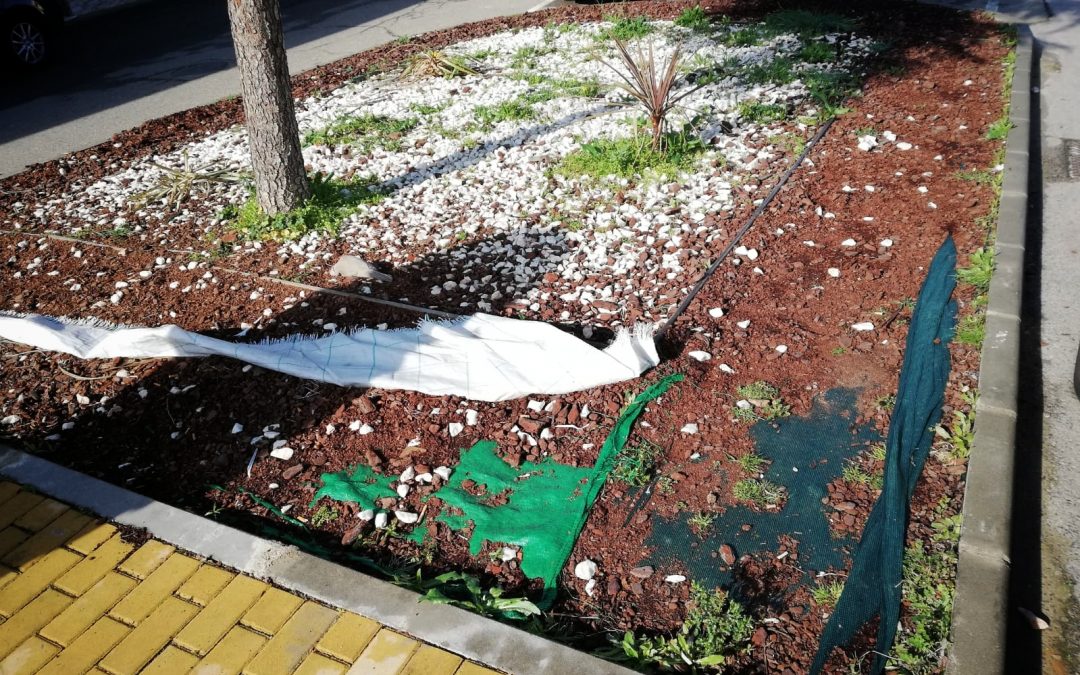 PSOE Torrejoncillo denuncia que el Partido Popular haga uso electoralista de la formación para la inserción con Las Guatas II