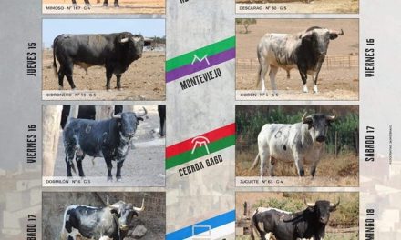 Bases del Concurso Fotográfico «Toros de Agosto 2019»