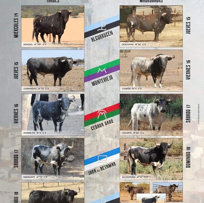 Bases del Concurso Fotográfico «Toros de Agosto 2019»