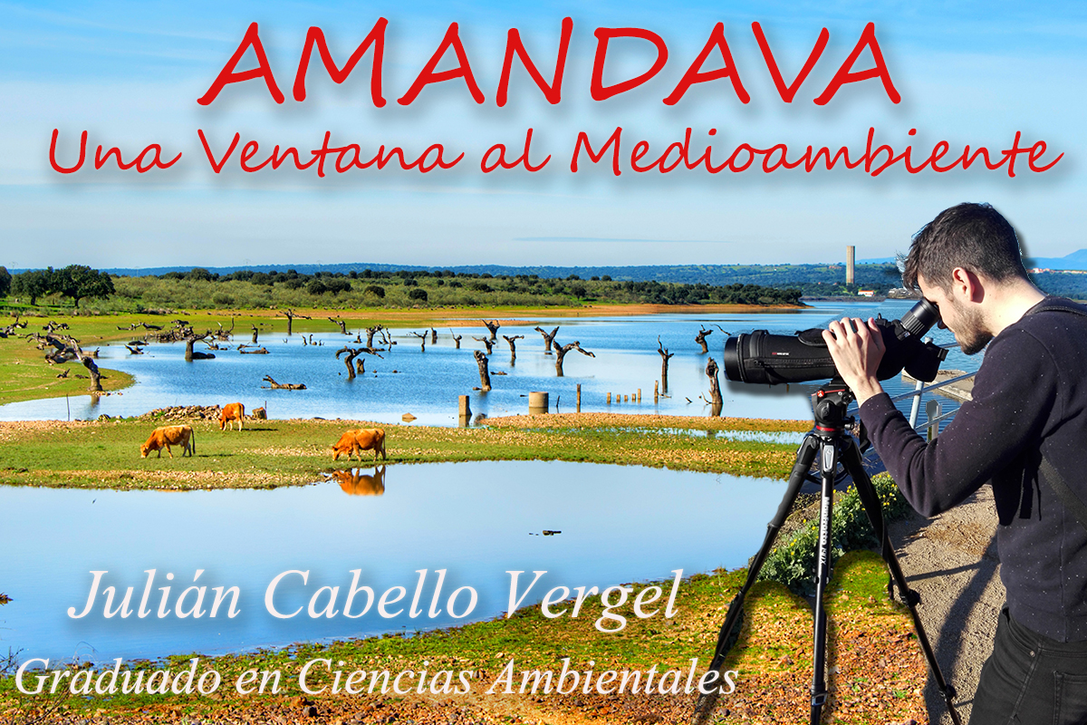 Amandava: Un medio ambiente en cambio