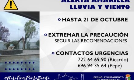 Lluvias y vientos ha causado la caída de un árbol en la Avenida de Cáceres