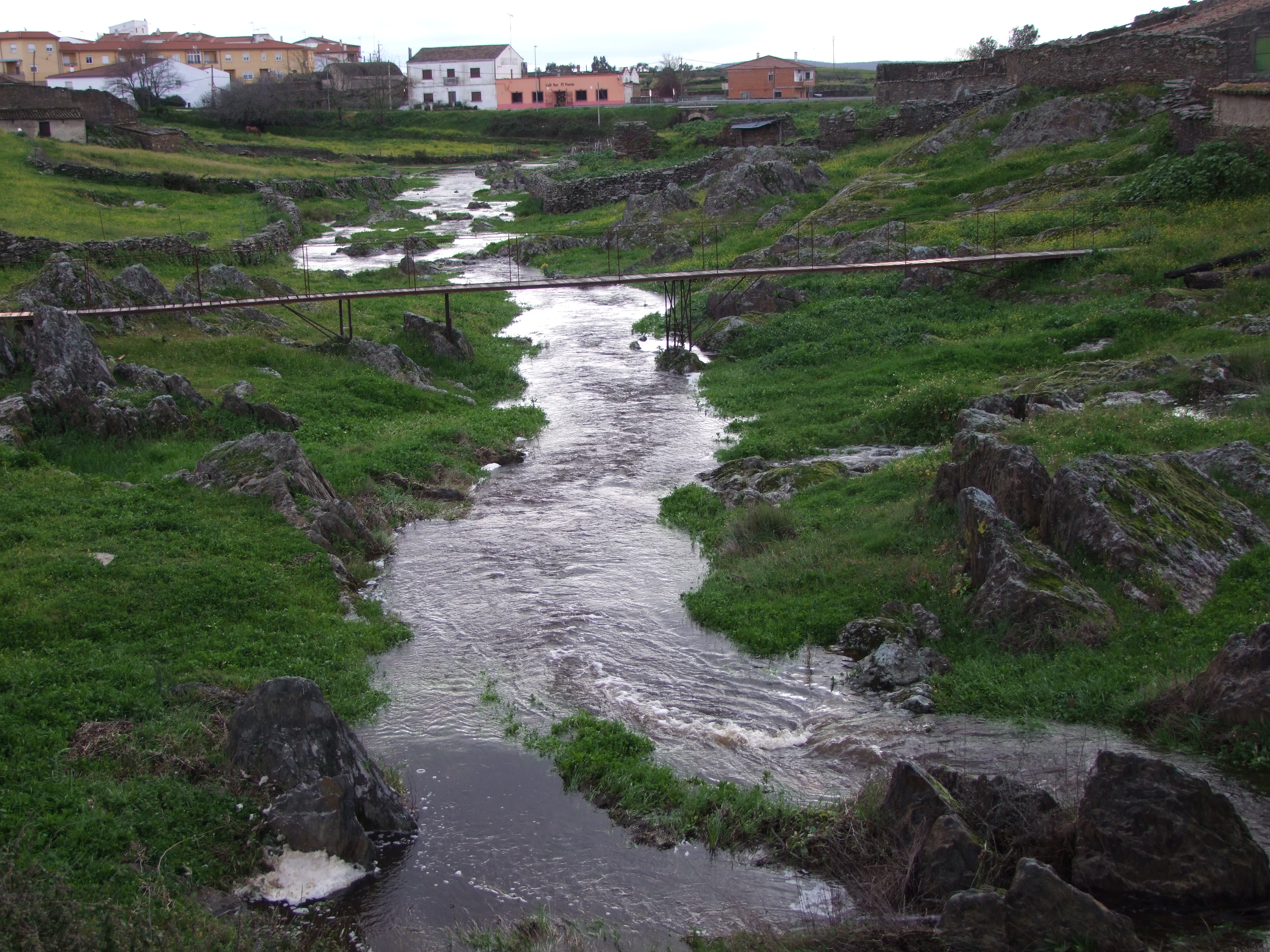 Agua, agua y más agua