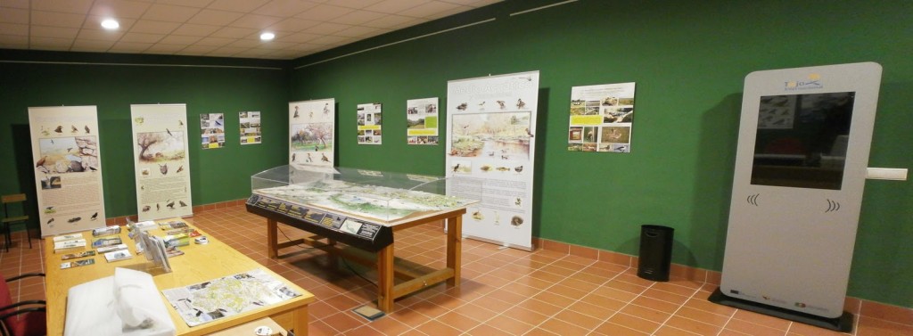 Sala de interpretación ambiental - CEDIDA