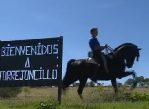 Puerta con Puerta en Torrejoncillo