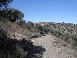 Tramo por el que transcurrirá la ruta senderista - MAGRAMA