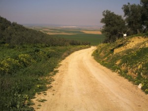 Agricultura ha comprometido ya el 82 por ciento del presupuesto anual para caminos rurales