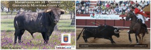 Dos toros de las Fiestas de Agosto 2011 ya habían sido lidiados… ¡¡en una corrida de rejones!!