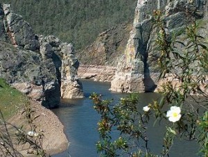 Paraje natural de los Canchos de Ramiro (Cachorrilla) - CEDIDA