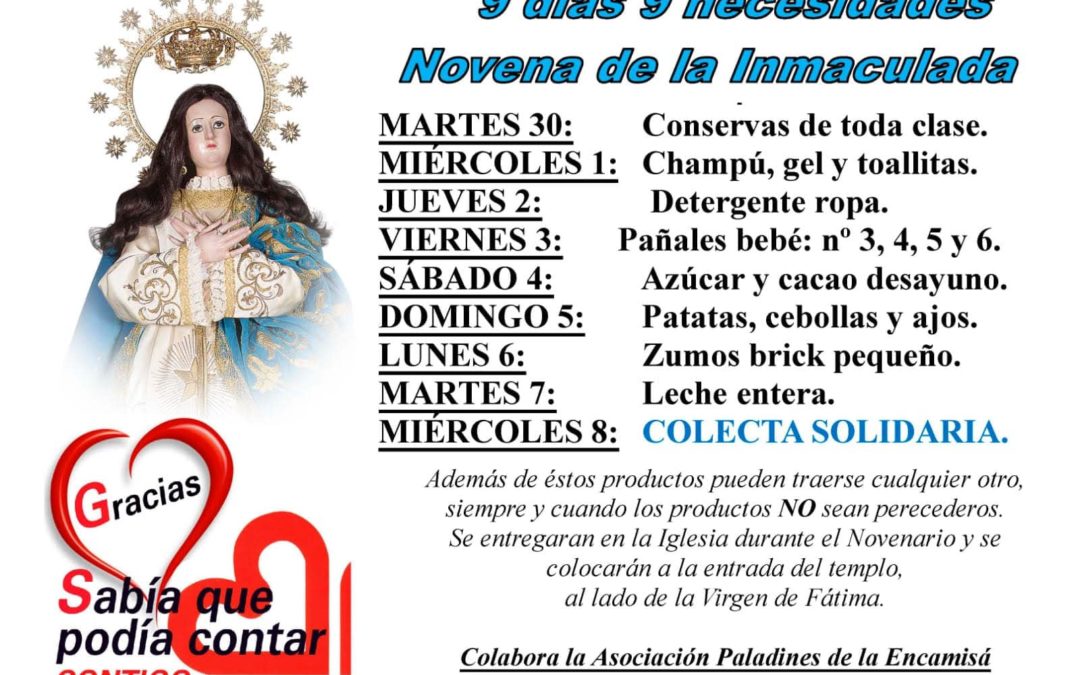 CADA GESTO CUENTA: 9 DIAS, 9 NECESIDADES; NOVENARIO A LA PURA