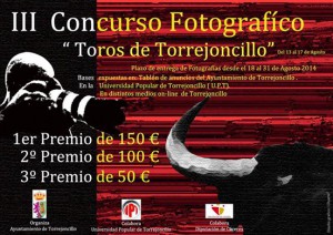 Cartel Concurso Fotos toros 2014