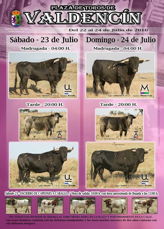 Toros de Valdencin 2016 en imágenes