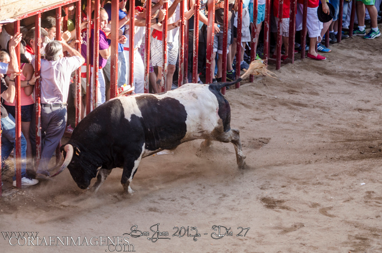 Los Sanjuanes de Coria finalizan con seis heridos por asta de toro