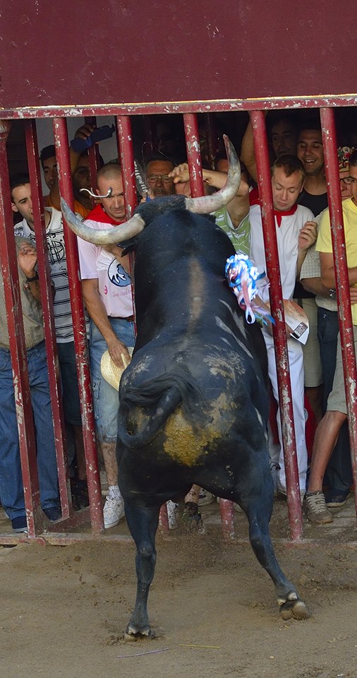 Dos heridos por asta de toro en la tarde de San Juan