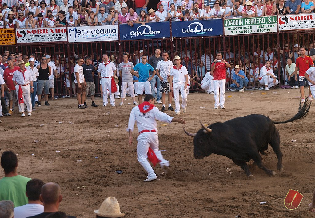 Arrancan los Sanjuanes de Coria 2013