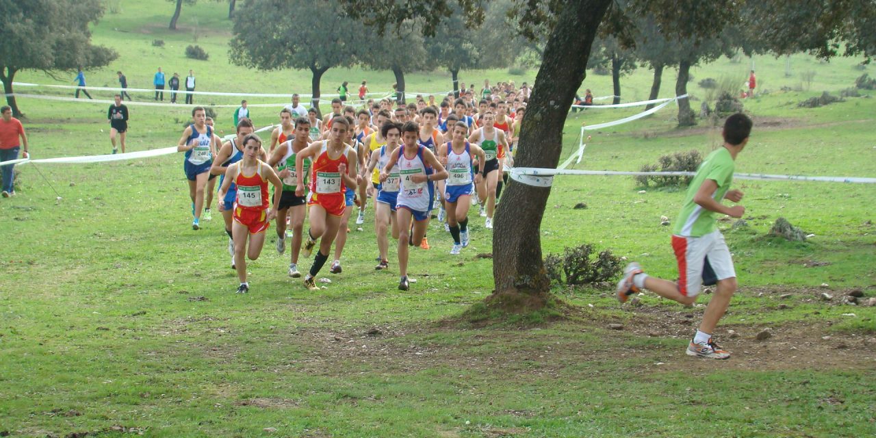 Gran actuación el fin de semana pasado en el Cross de Diputación de Cáceres de nuestros atletas