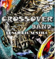 Crossover Band en concierto