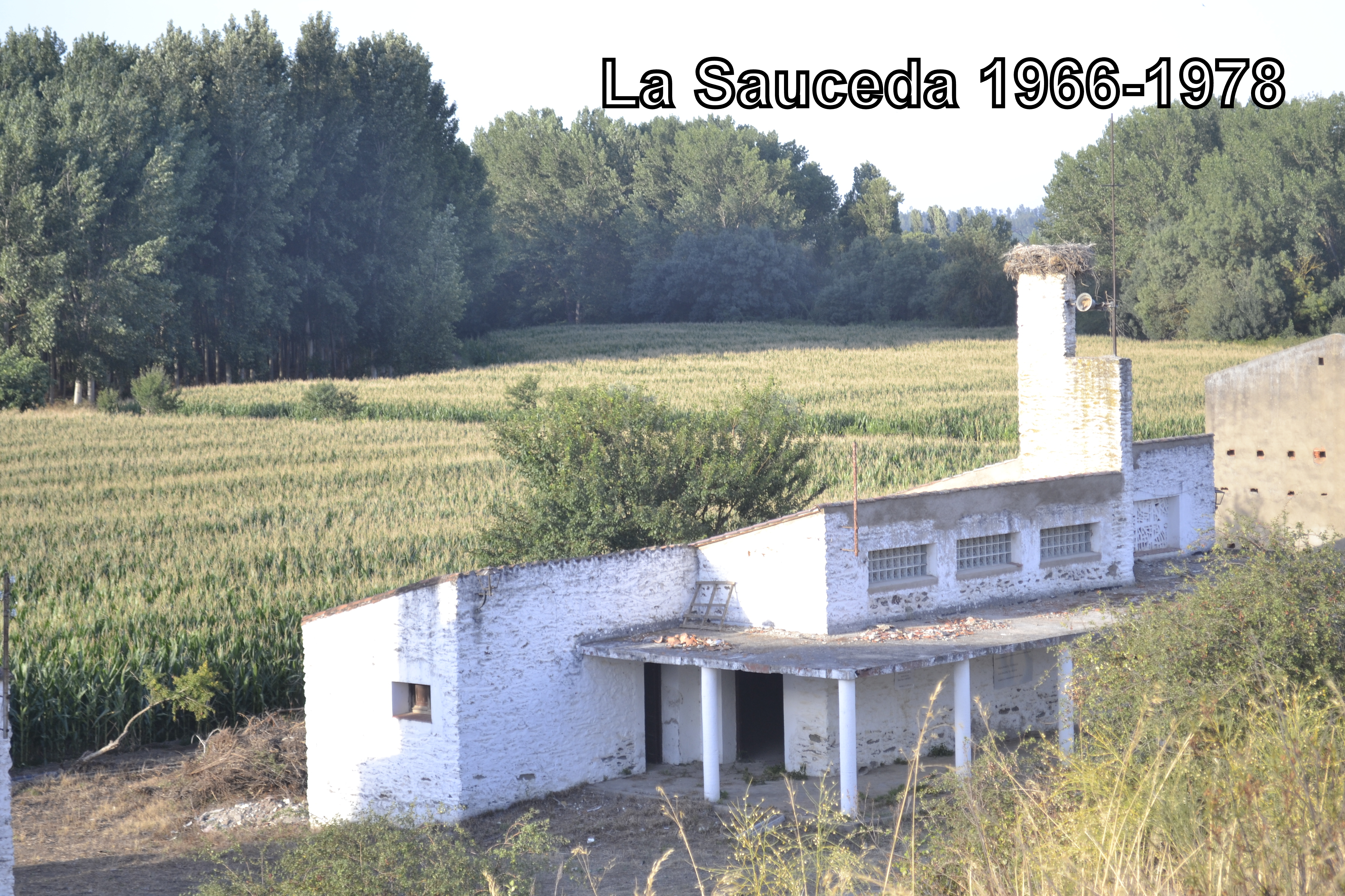 La Sauceda 1950-2017: Instantes de vida