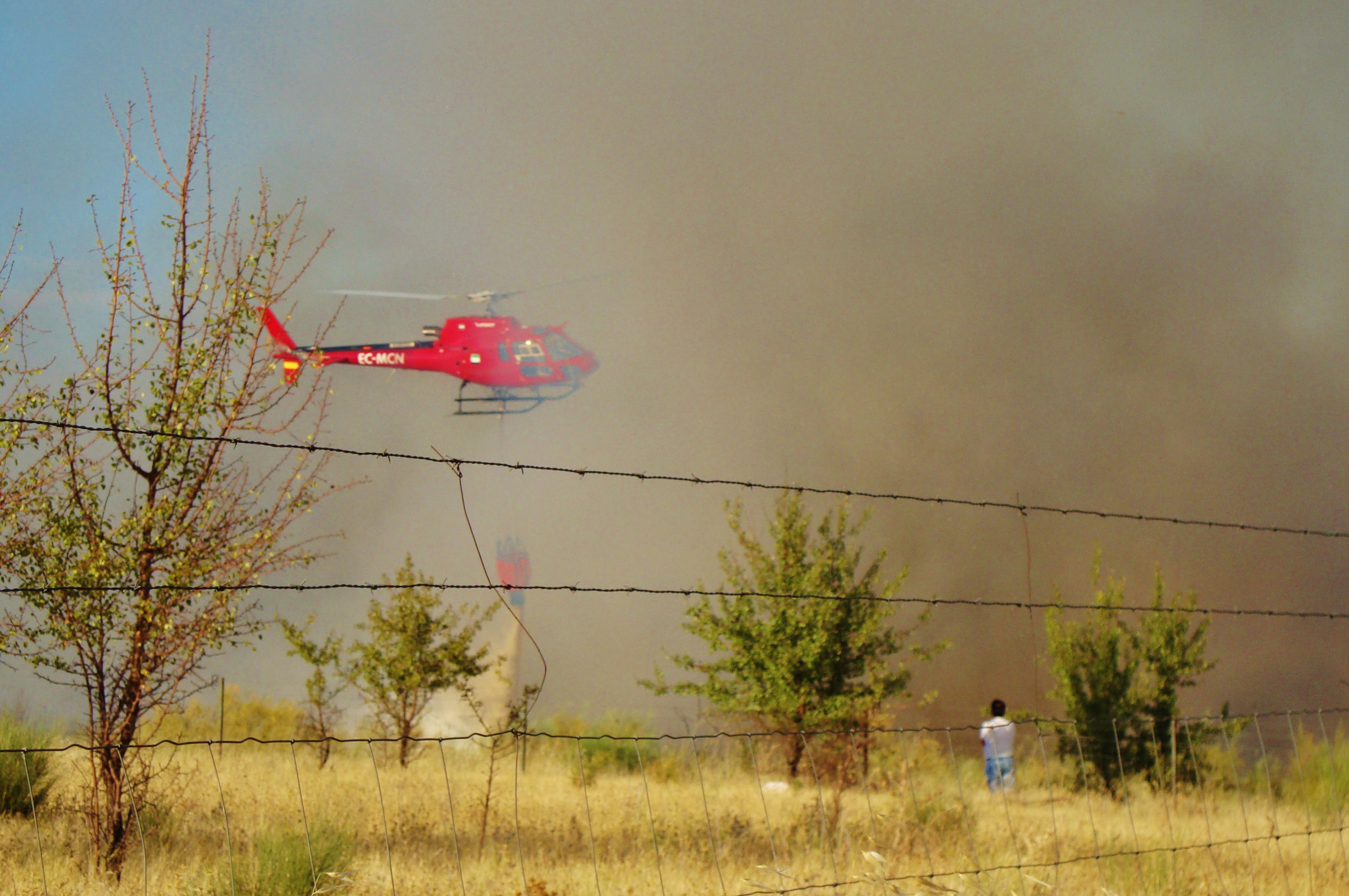 Incendio en la «Viña de las Amargas»