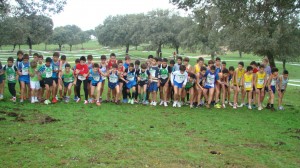 Torrejoncillo, la base del cross