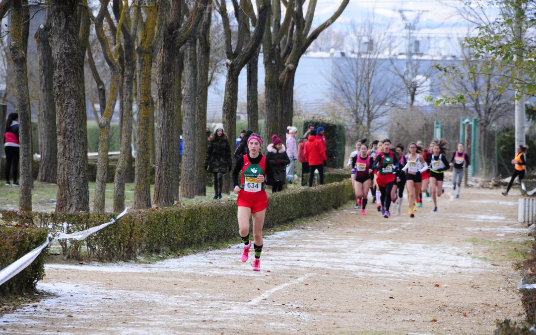 38 atletas extremeños viajan a Aranda de Duero para participar este fin de semana en el prestigioso Cross de la Constitución