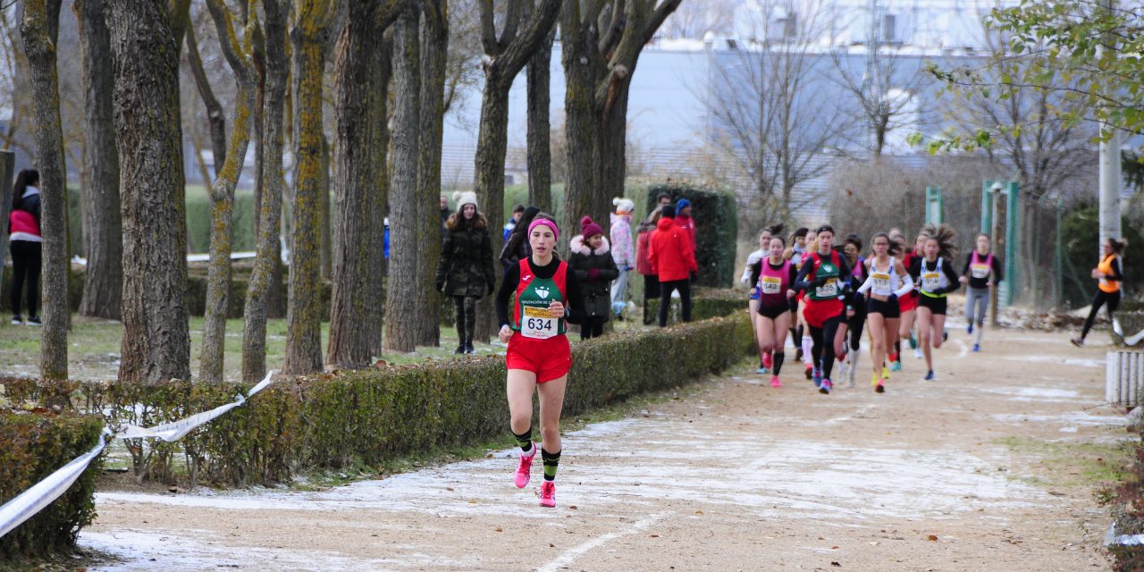 38 atletas extremeños viajan a Aranda de Duero para participar este fin de semana en el prestigioso Cross de la Constitución