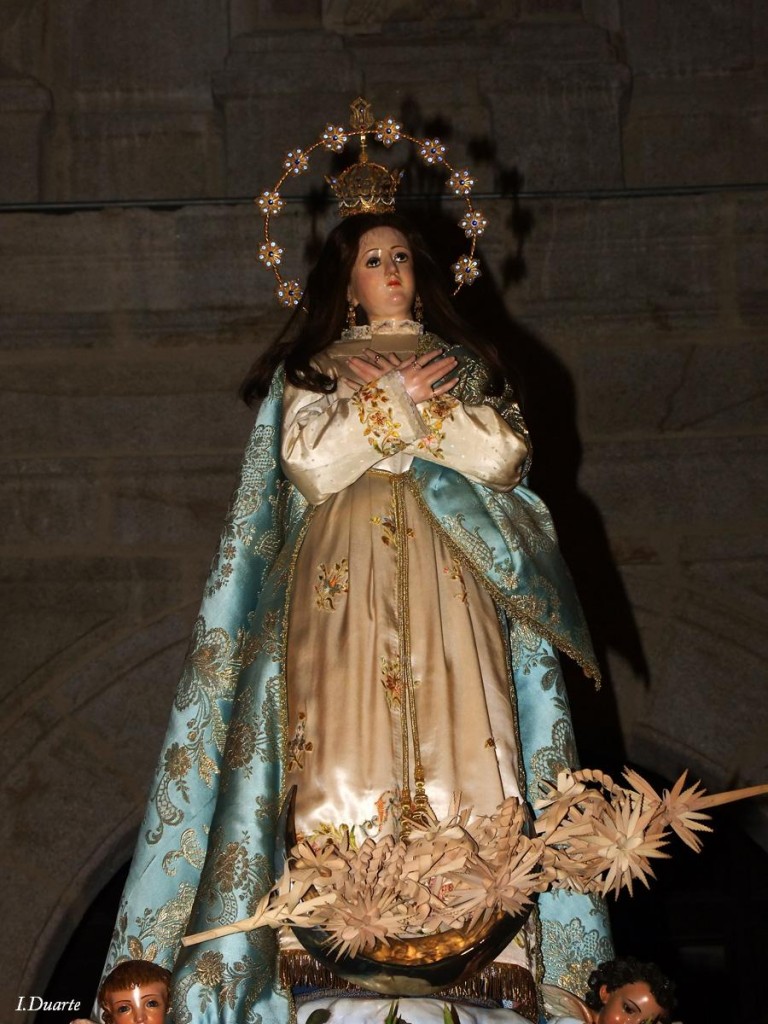 Imágenes de la ofrenda Floral a Maria Inmaculada de Torrejoncillo