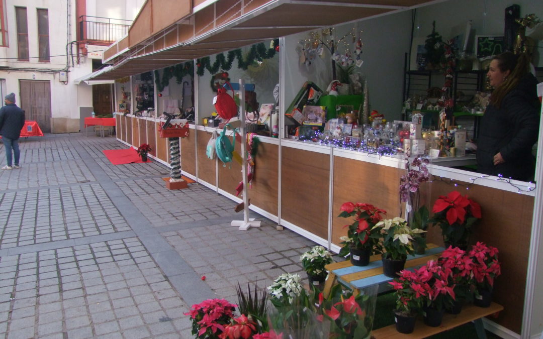 ACTIVIDADES DOMINGO EN EL MERCADO NAVIDEÑO (Contiene imágenes del sábado)
