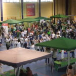 Éxito en la V Feria de la Salud de Torrejoncillo (Contiene Galería)
