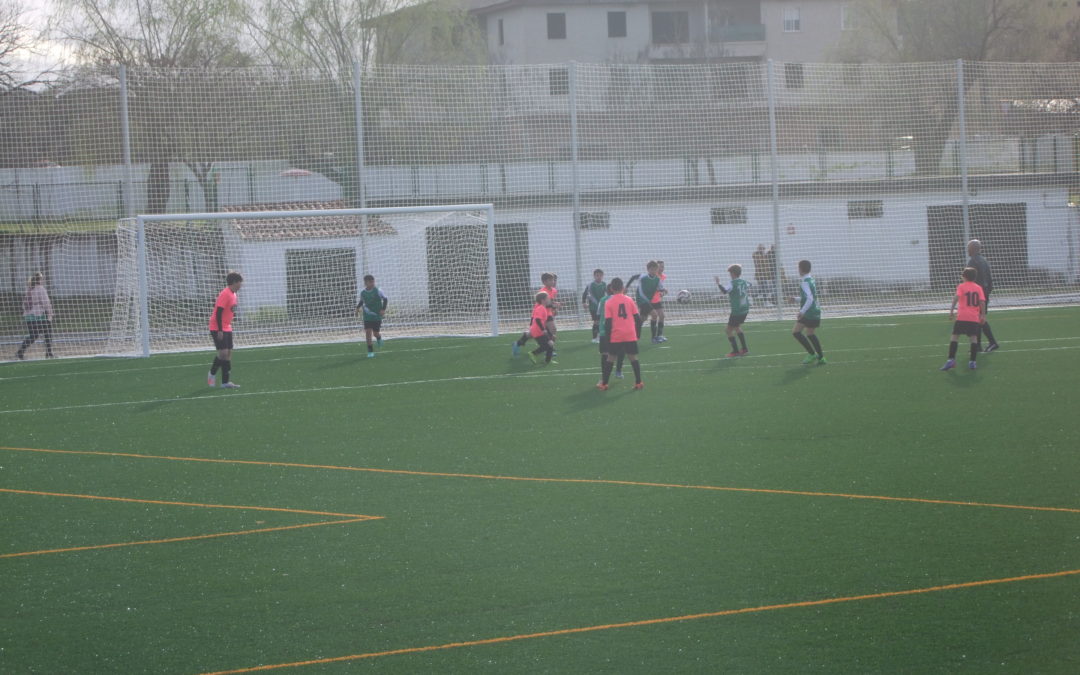 Se va acercando el final de las competiciones y nuestros equipos del AD Torrejoncillo fuerzan la maquinaria para quedar lo mejor posible