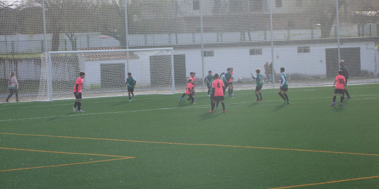 Se va acercando el final de las competiciones y nuestros equipos del AD Torrejoncillo fuerzan la maquinaria para quedar lo mejor posible